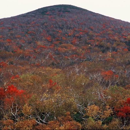 Ny Building 4Th Floor, Guest House Ichibangai, Roo / Vacation Stay 55905 Κιτάμι Εξωτερικό φωτογραφία