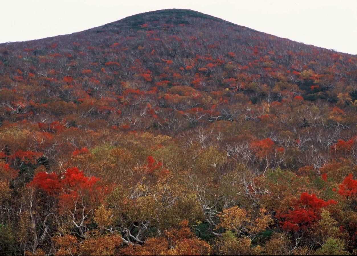 Ny Building 4Th Floor, Guest House Ichibangai, Roo / Vacation Stay 55905 Κιτάμι Εξωτερικό φωτογραφία