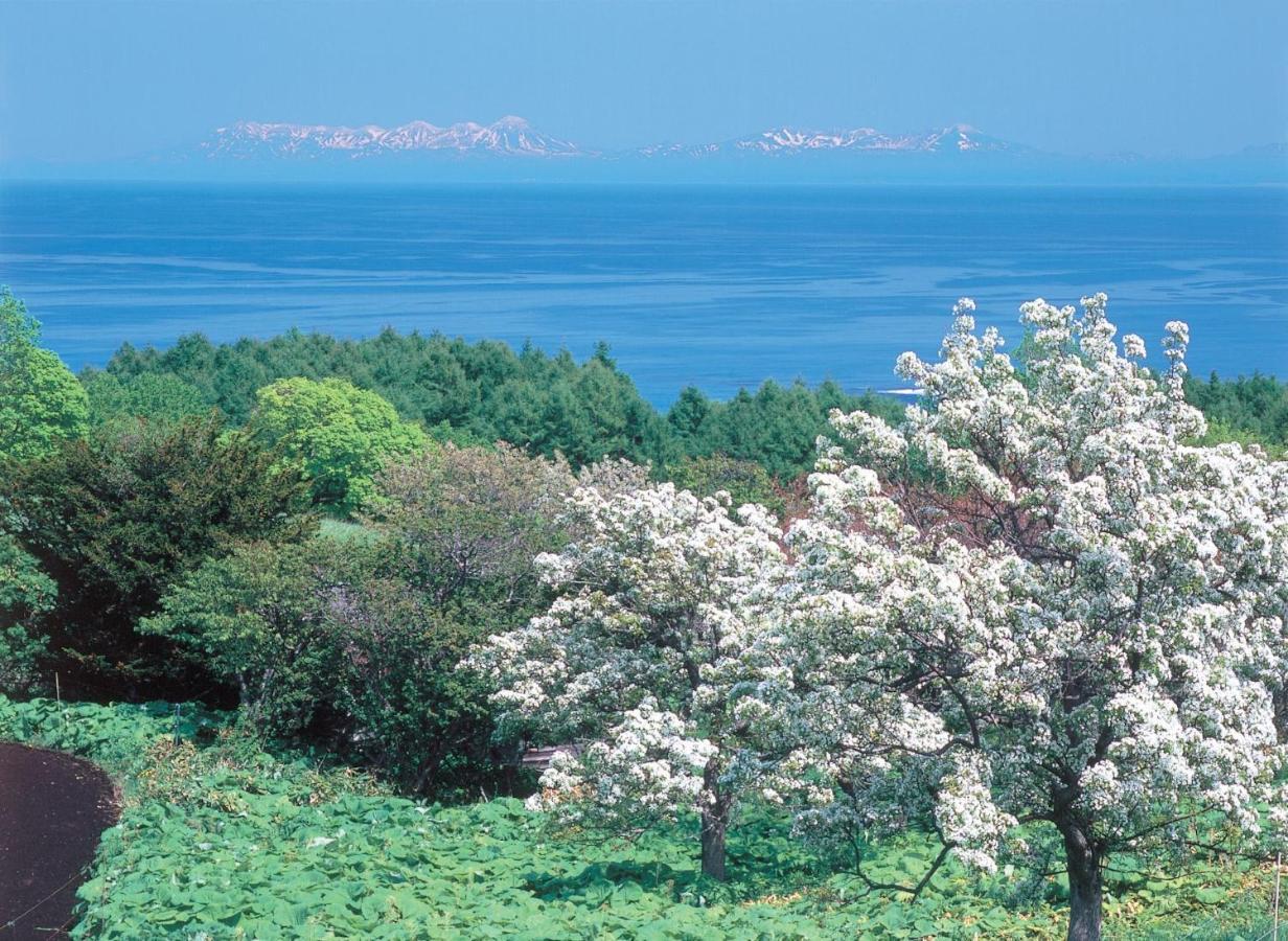 Ny Building 4Th Floor, Guest House Ichibangai, Roo / Vacation Stay 55905 Κιτάμι Εξωτερικό φωτογραφία